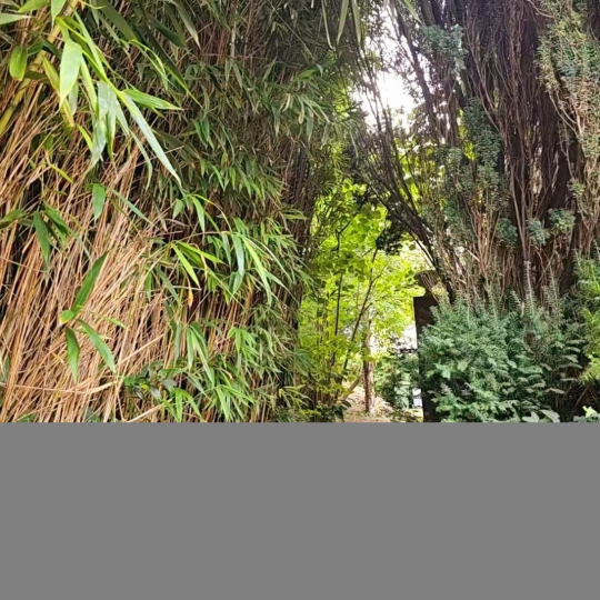  CGRE - COMMANDRE GUILLAUME REAL ESTATE : Maison / Villa | VILLEJUIF (94800) | 145 m2 | 627 000 € 